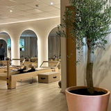 Sienna Reformer Machine